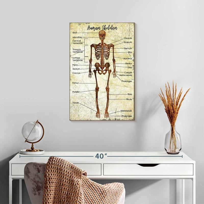 Tableau des squelettes humains Keiri, H 24 po x l 16 po