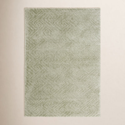 Ninette Shag Performance Geometric Rug