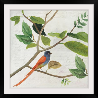 « ii » asia jensen, impression Singing Bird