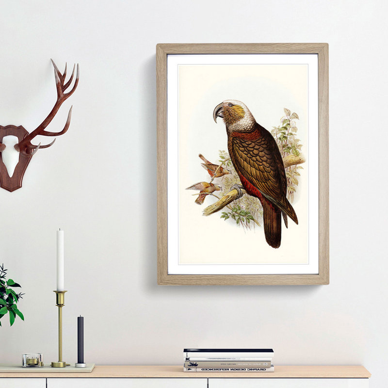 Ka-Ka Parrot by Elizabeth Gould - Picture Frame Graphic Art Print, 36cm H x 27cm W x 2cm D, Oak Framed