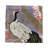 Summer Palace Cotton Sateen Cocktail Napkins-122066545