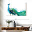 Proud Peacock Splash-990378522