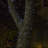 38.6' L Solar String Light with 100 LEDs