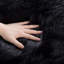 Dreu Black Shag Area Rug-1493972810