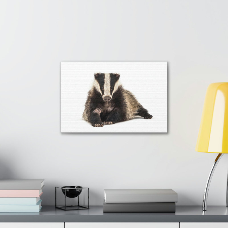 «Laying Down Badger Print», art mural, H 11 po x l 14 po