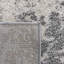 Suzann Ivory Rug-504957330