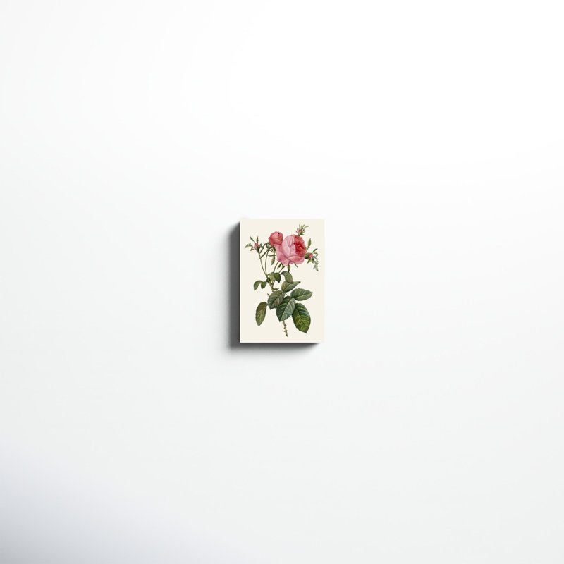 «Redoute's Rose II», peinture sur toile, H 12 po x l 8 po
