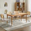 2 chaises de cuisine de style Mid-Century moderne, 2 chaises de salle à manger en velours beige avec dossier et base robuste, base en acier inoxydable naturel, accent pour la pièce, excellente respirabilité-547190048
