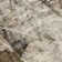 Caseville Abstract Indoor Rug