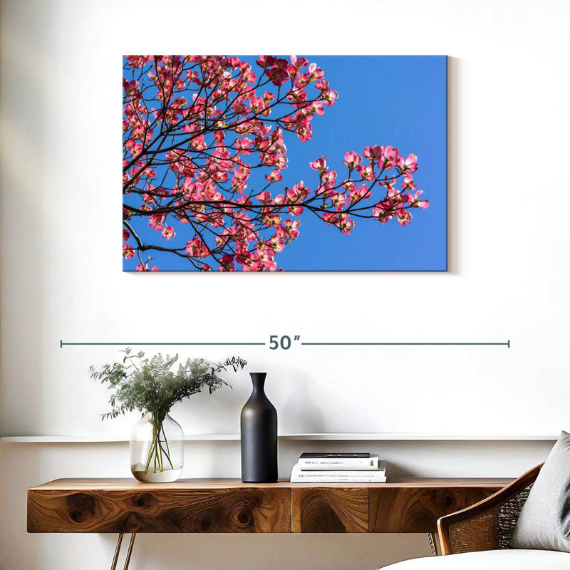 Harnek Pink Spring Dogwood