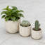 Ensemble de 3 pots à fleurs Mgo