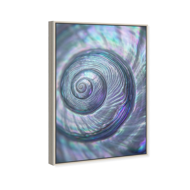 Sea Spiral Print by Oliver Gal, 31"H x 21"W, Silver Floater Frame