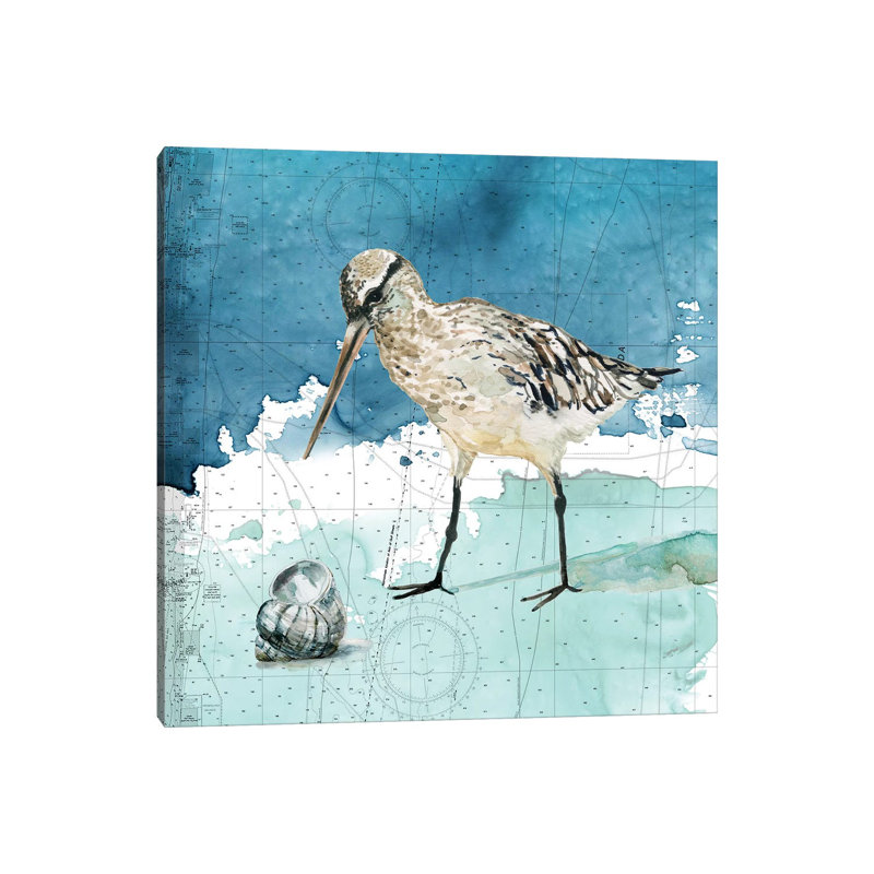 Bay Shore Sandpiper II by Carol Robinson - Print on Canvas, Wrapped Canvas, 45.72 cm H x 45.72 cm W x 3.175 cm D