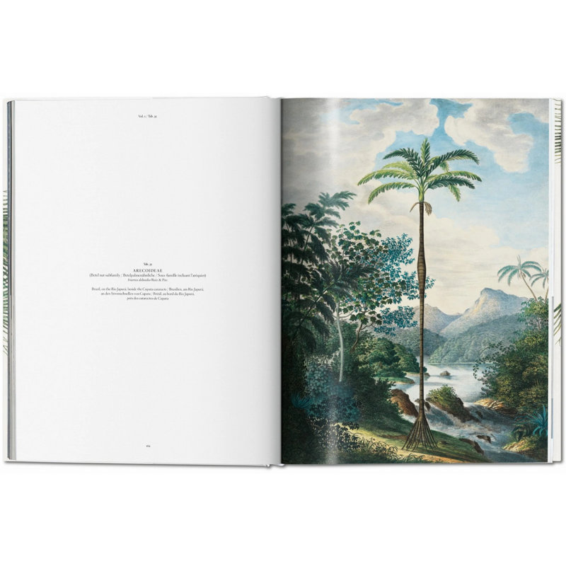 Martius, Book Of Palms