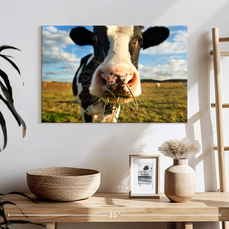 Brampt Cow Selfie, 16" H x 24" W