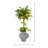 Lemon and Vine Topiary in Decorative Ceramic Vase