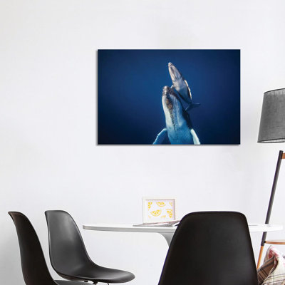 Come Back To The Surface by Barathieu Gabriel - Wrapped Canvas Print