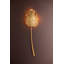 Applique murale 11,25 po Seychelles-98242905