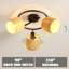 Paper Spotlight