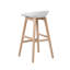 Benjamin Counter Stool with Solid Wood Frame-40153455