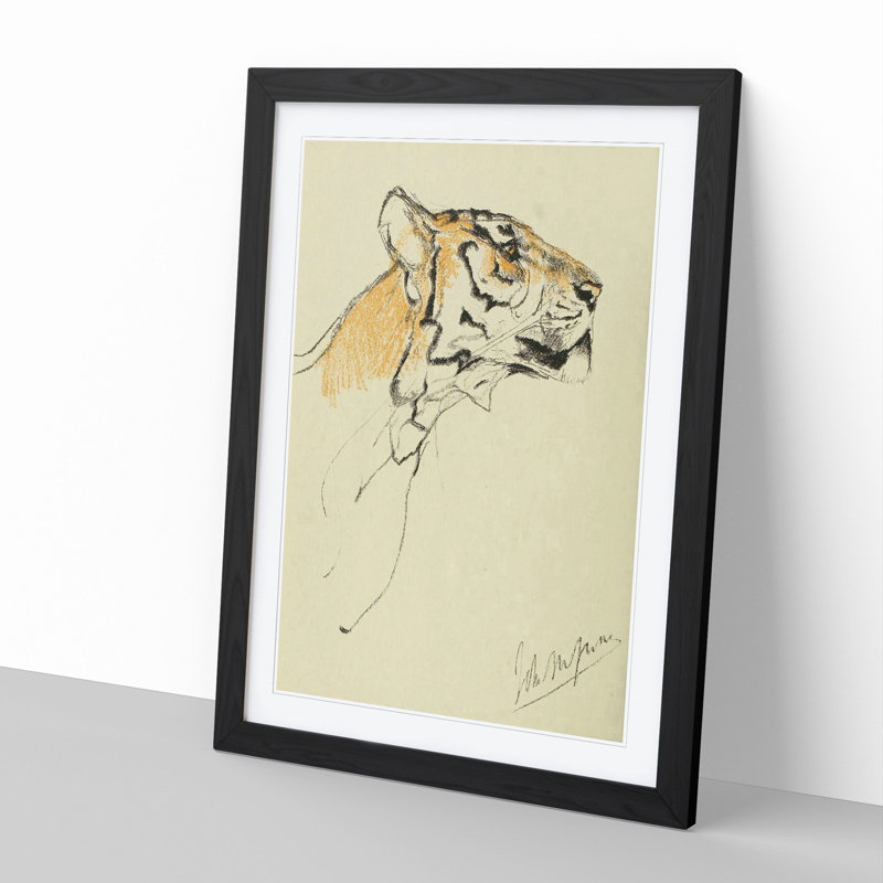 Study of a Tiger Vol.2 by John Macallan Swan - Framed Print, Black Framed, 48cm H x 36cm W x 2cm D