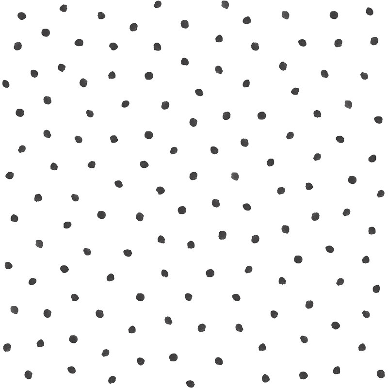 Rouleau de papier peint L 33 pi x l 20,9 po Anqunette Pixie Dots, Noir
