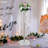Backdrops & Signs-97934194