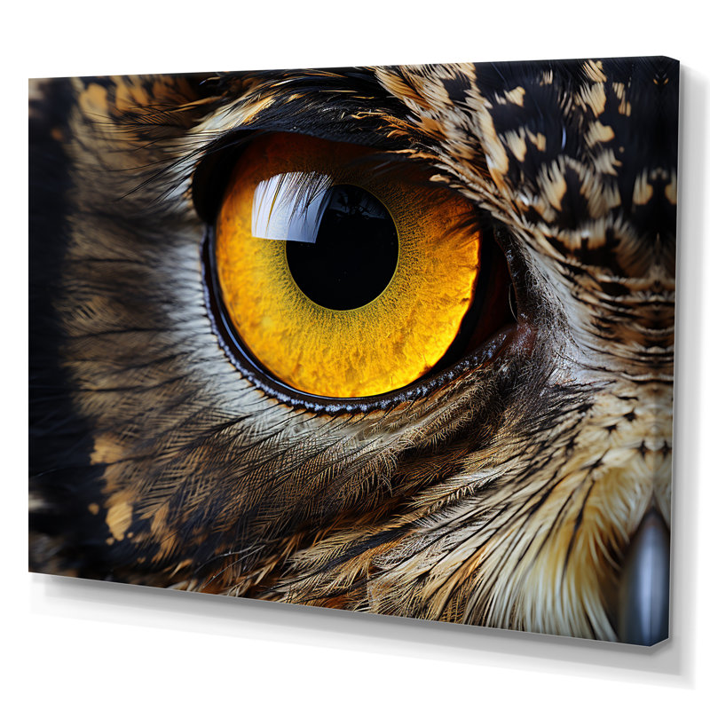 Gros plan sur l'oeil d'une chouette brune sur toile, H 16 po x l 32 po x P 1 po, Toile tendue