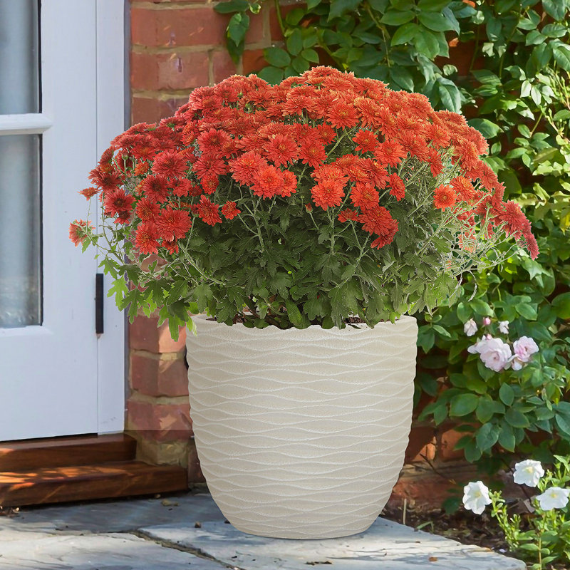 Egg Garden Reinforced Stone Round Planter, Outdoor Plant Pot, Beige, 33cm H x 35.5cm W x 35.5cm D