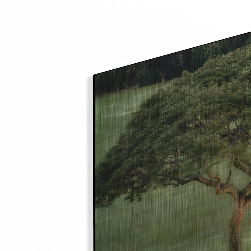 «Single Tree» par Dennis Frates, H 12 po x l 16 po