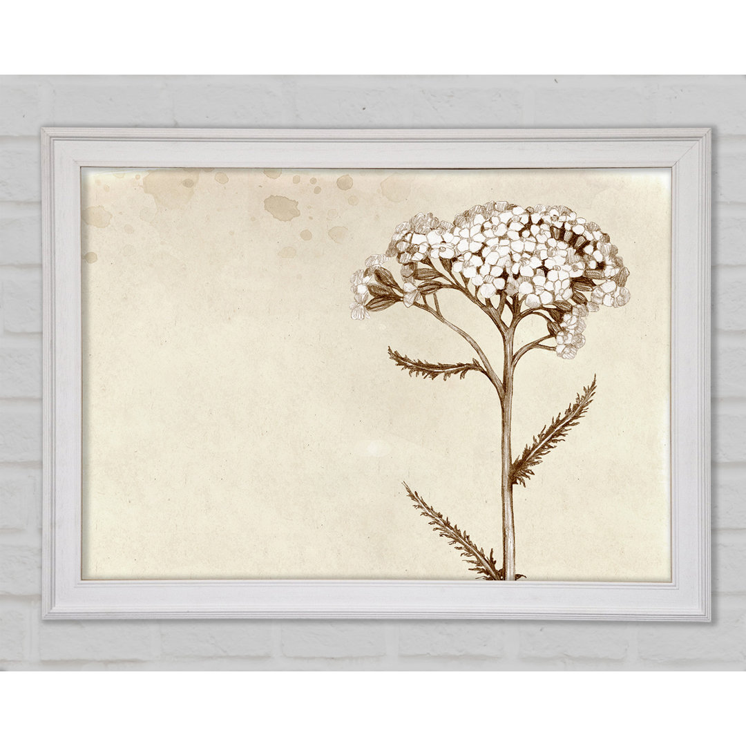 Floral Beauty Sepia - Druck