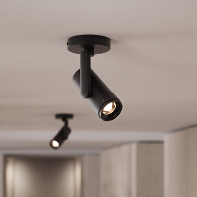 13.5W Black LED Spotlight, Adjustable Beam 24°-60° & CCT 2700-5000K, CRI90+, for Art Gallery or Home