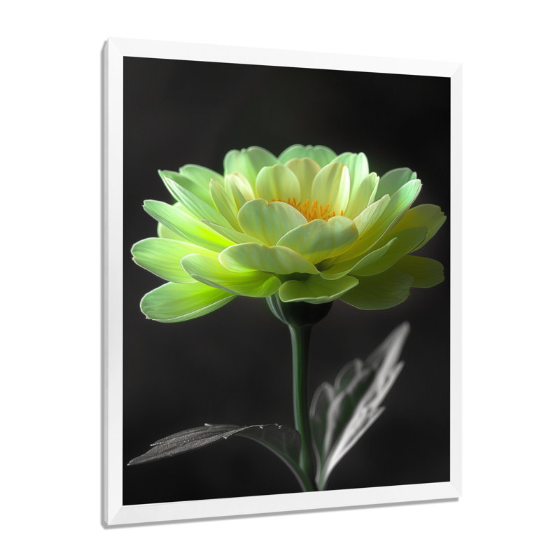 Vert, noir, jardin, glamour, souci, art mural, H 24 po x l 32 po, Cadre simple blanc, bois massif