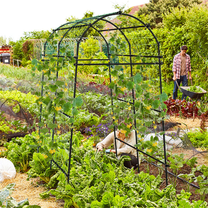 Treillis d'arche de jardin, structure métallique