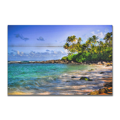«Turtle Beach» par Kelly Wade sur