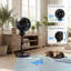 Air Circulator Fan-124562706