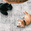 Tapis lavables en machine Roshun Noor-1513752798-1478231855