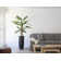 Artificial Banana Leaf Tree In A Square Beige Fiberstone Planter