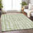 Premium Machine Washable Prisco Aloe Rug-1617918585