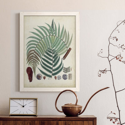 Fougères de collection I, toile encadrée de qualité supérieure - prête à être accrochée