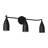 Maya Medium Vanity from Generation Lighting -116119611-116119607-116119612