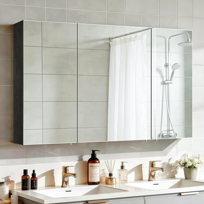 Daciano 100cm W 60cm H Surface Mount Mirror Cabinet 