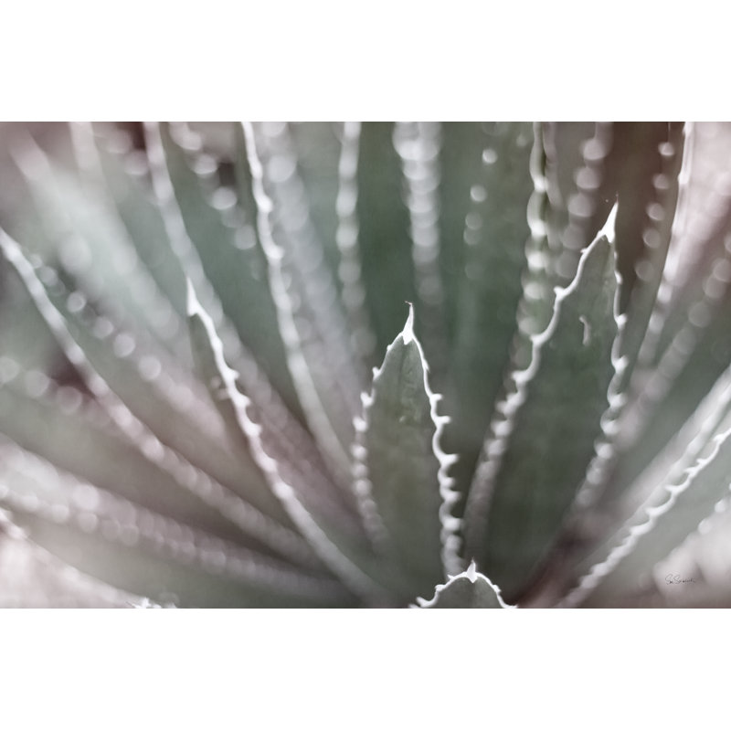 Dream Desert II BWC by Sue Schlabach - Wrapped Canvas Print, 51cm H x 76cm W