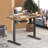 Dafny Adjustable Metal Base Standing Desk-1069569641