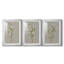 Fleurs blanches sur fond blanc I - reproduction sur mesure encadrée de qualité supérieure - 3 pièces-565255027