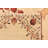 Nitta Cream Rug