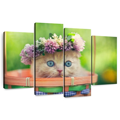 Brampt Garland Cat