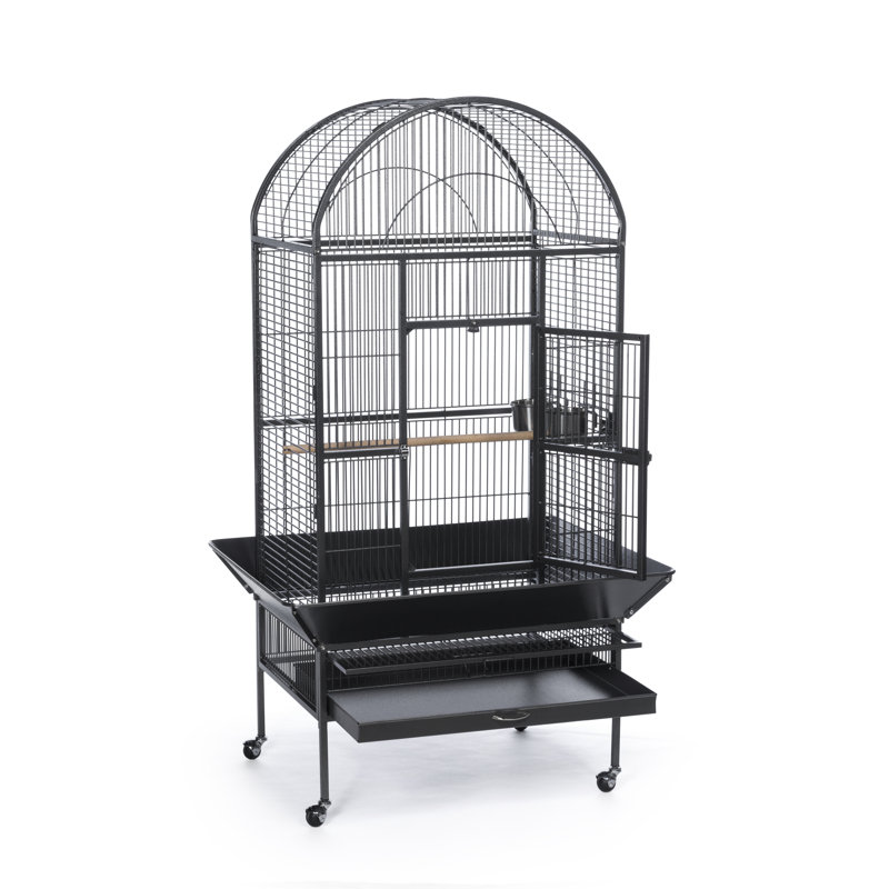 Grande cage à oiseaux Brewington