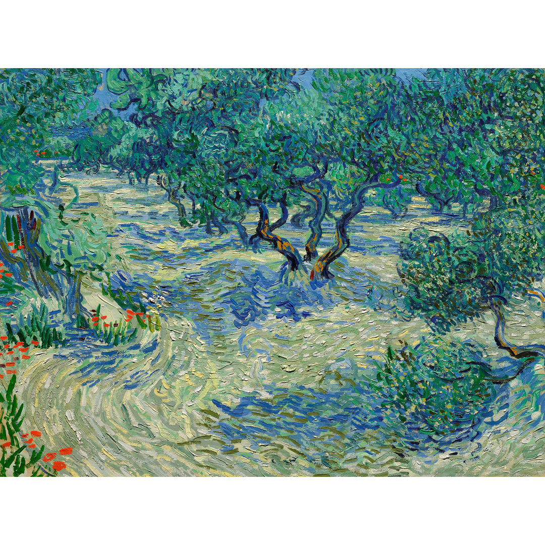 Kunstdruck Olive Orchard von Vincent Van Gogh