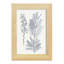Indigo Botany Study VII, reproduction-1710830550-1710830561